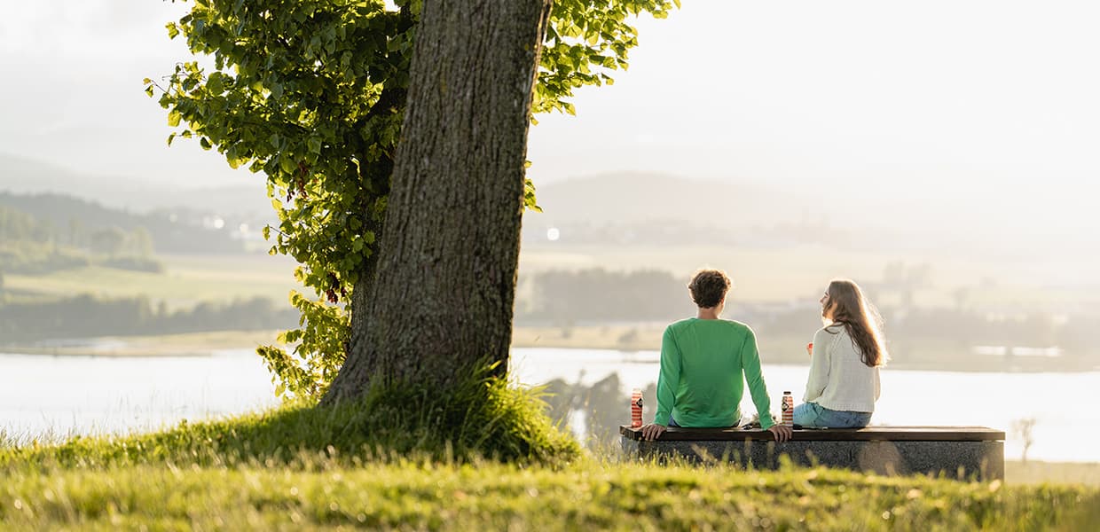 To personer sitter ved tre med utsikt over landskap. Sett bakfra i motlys med stort tre til venstre. Drikkeflasker og fredelig stemning ved vannet i morgendis